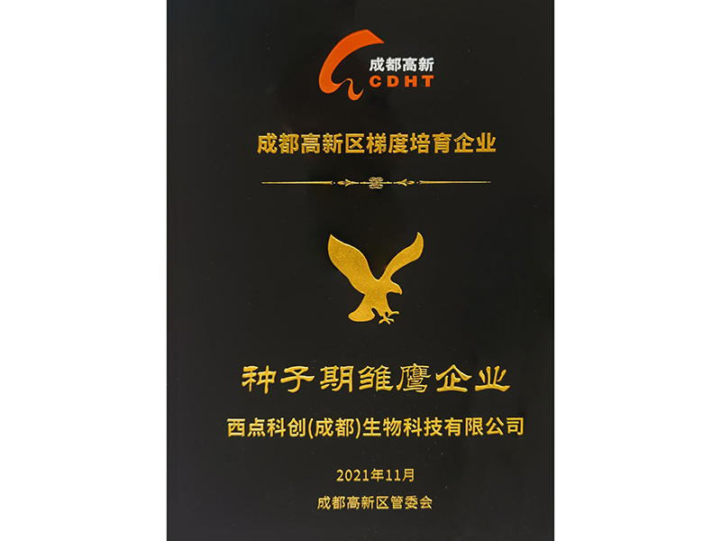 成都高新
