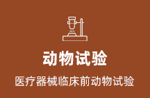 动物试验
